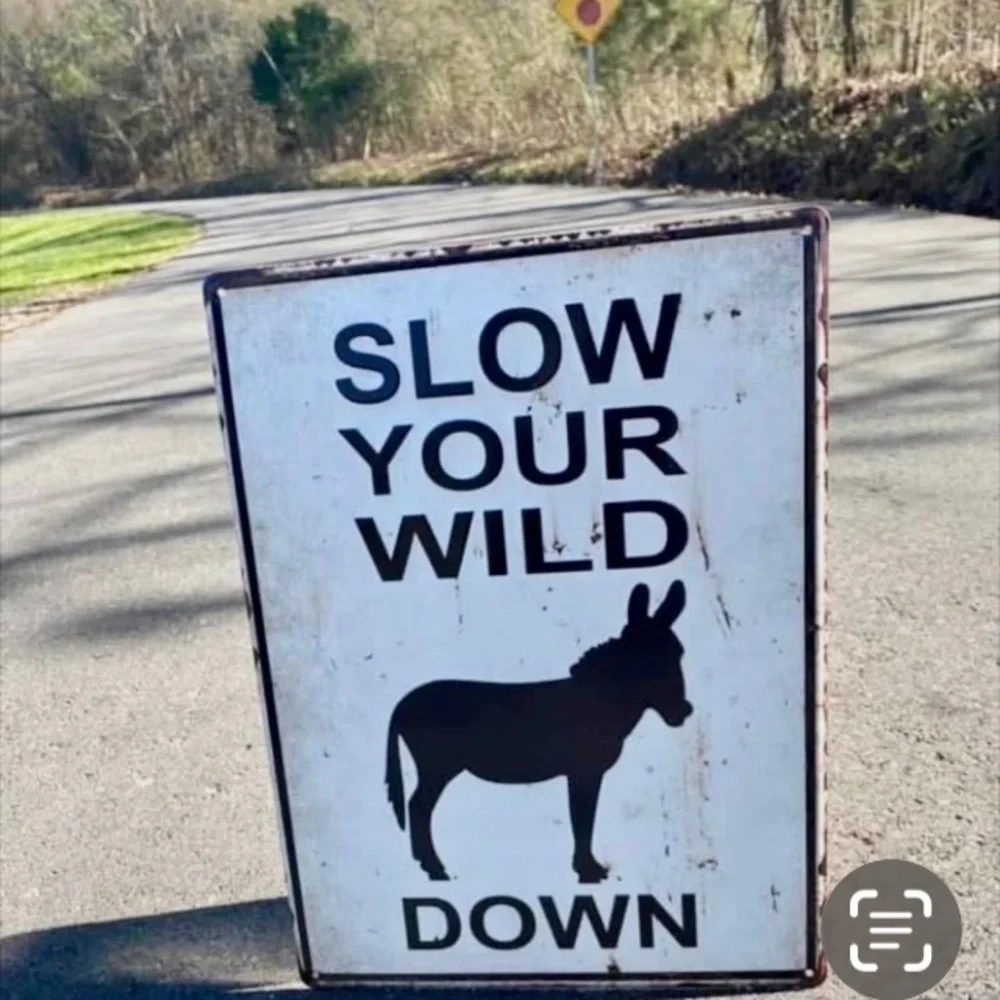 Humorous Donkey Sign - Picture 2 of 2